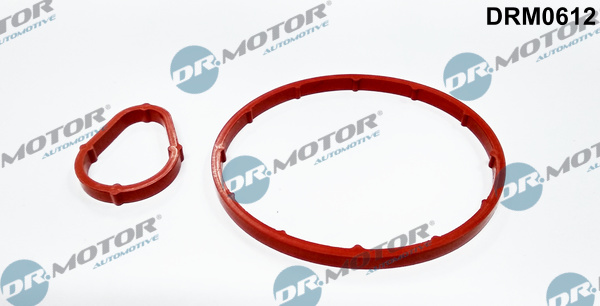 Kit guarnizioni, Pompa a depressione - DRM0612 Dr.Motor Automotive