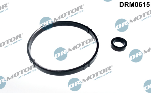 Kit guarnizioni, Radiatore olio - DRM0615 Dr.Motor Automotive