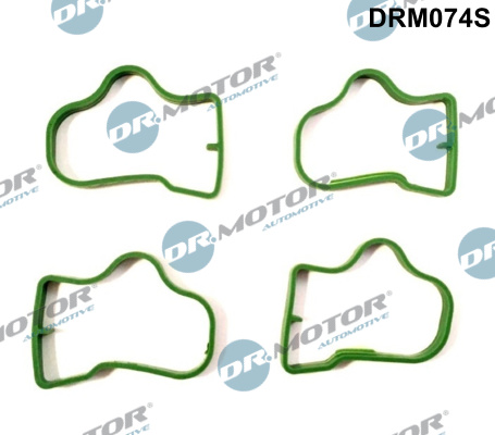 Gasket Set, intake manifold - DRM074S Dr.Motor Automotive