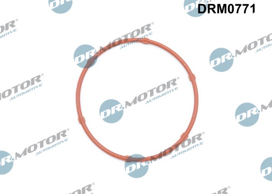 Guarnizione, Pompa olio - DRM0771 Dr.Motor Automotive