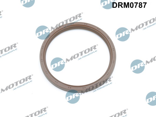 Paraolio, Albero a gomiti - DRM0787 Dr.Motor Automotive