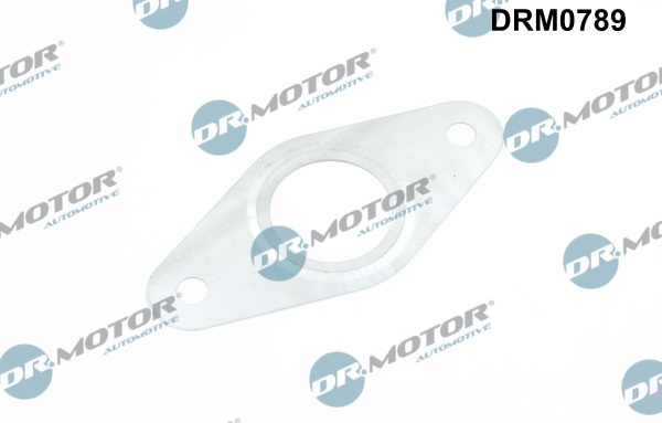 Gasket, EGR valve pipe - DRM0789 Dr.Motor Automotive