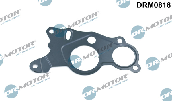 Gasket, vacuum pump - DRM0818 Dr.Motor Automotive
