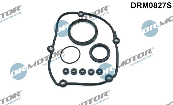 Gasket Set, timing case - DRM0827S Dr.Motor Automotive