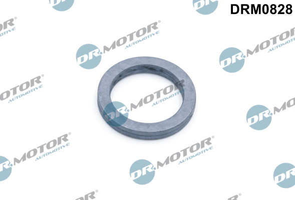Guarnizione, Pompa olio - DRM0828 Dr.Motor Automotive