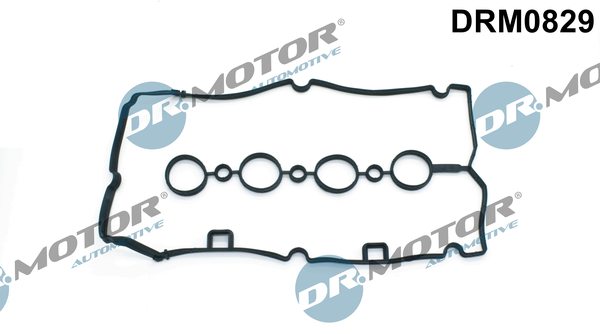 Guarnizione, Copritestata - DRM0829 Dr.Motor Automotive