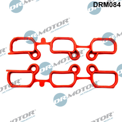 Gasket Set, intake manifold - DRM084 Dr.Motor Automotive