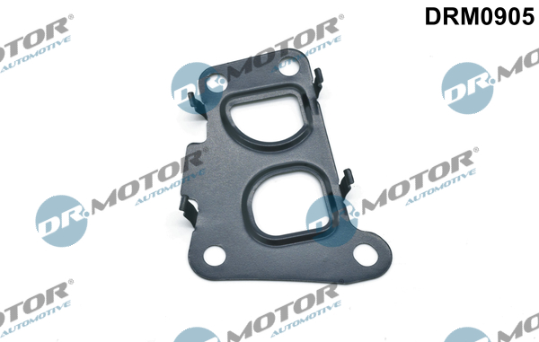 Seal, EGR valve - DRM0905 Dr.Motor Automotive