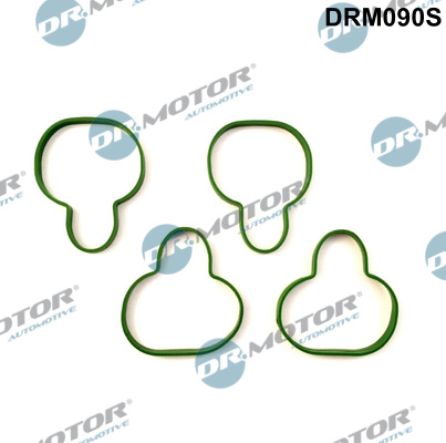 Gasket Set, intake manifold - DRM090S Dr.Motor Automotive