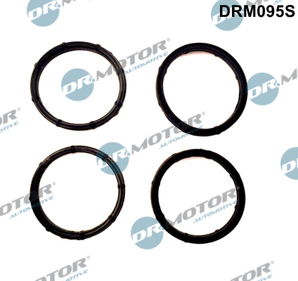Gasket Set, intake manifold - DRM095S Dr.Motor Automotive