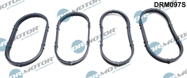 Gasket Set, intake manifold - DRM097S Dr.Motor Automotive