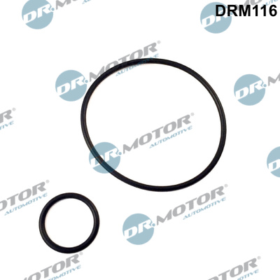 Gasket Set, intake manifold - DRM116 Dr.Motor Automotive