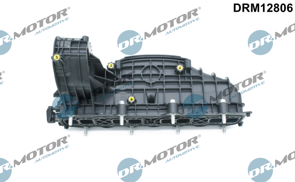 įsiurbimo kolektoriaus modulis - DRM12806 Dr.Motor Automotive