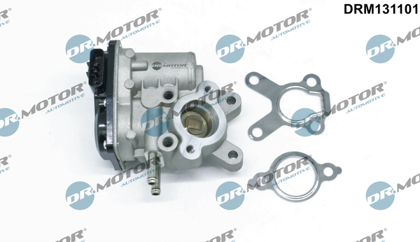 EGR Valve - DRM131101 Dr.Motor Automotive