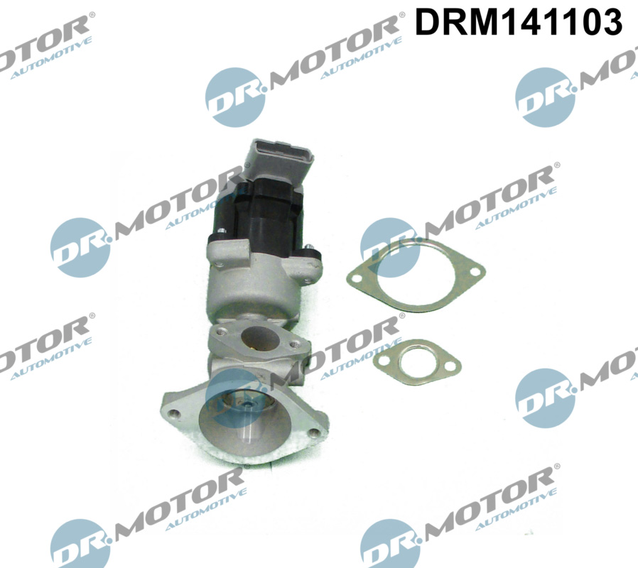ERG vožtuvas - DRM141103 Dr.Motor Automotive