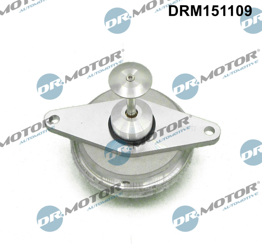 EGR Valve - DRM151109 Dr.Motor Automotive