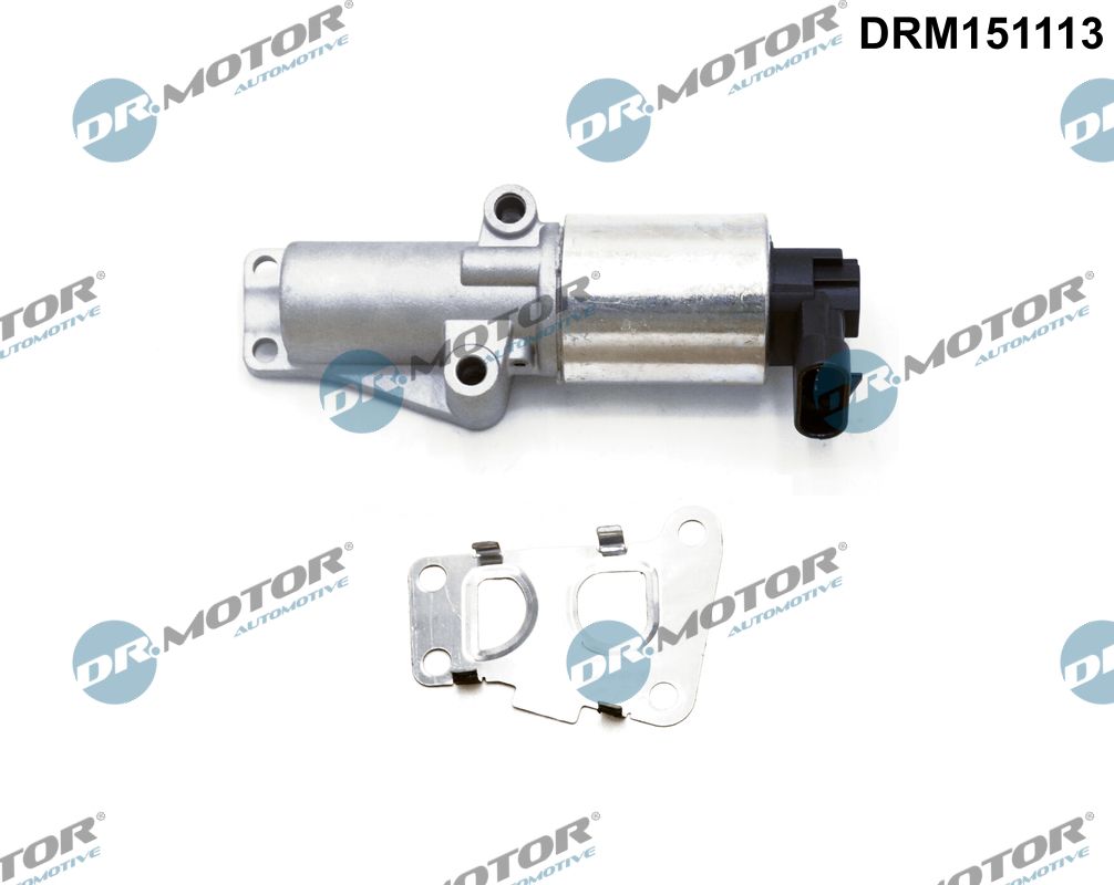ERG vožtuvas - DRM151113 Dr.Motor Automotive