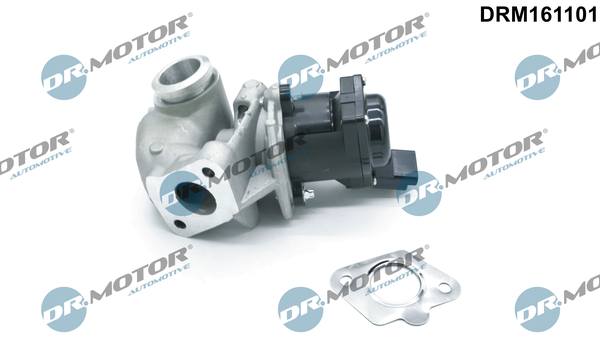 EGR Valve - DRM161101 Dr.Motor Automotive