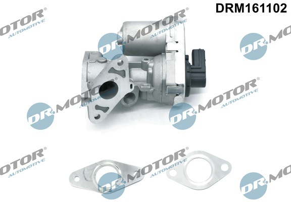 ERG vožtuvas - DRM161102 Dr.Motor Automotive