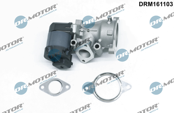 EGR Valve - DRM161103 Dr.Motor Automotive