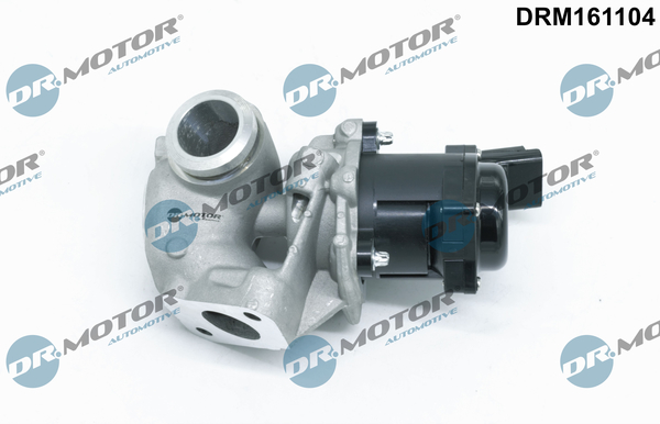 ERG vožtuvas - DRM161104 Dr.Motor Automotive