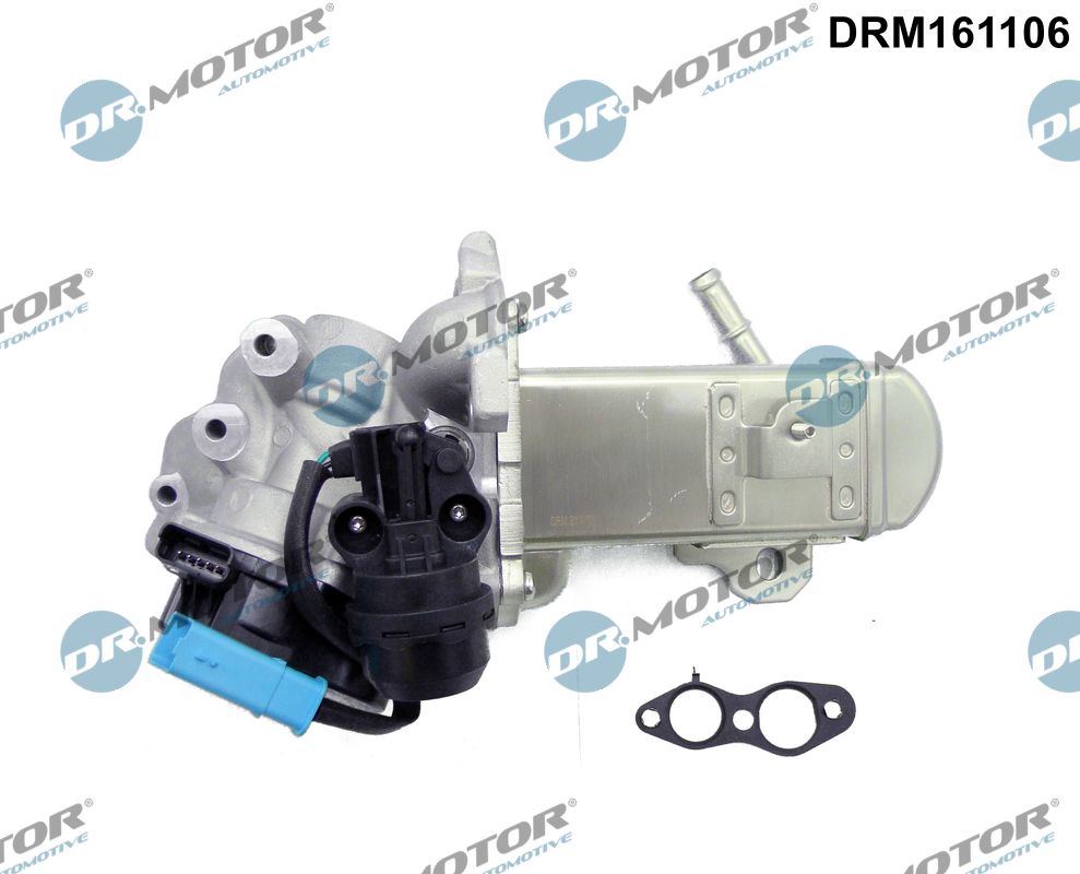 aušintuvas, išmetamųjų dujų recirkuliacija - DRM161106 Dr.Motor Automotive