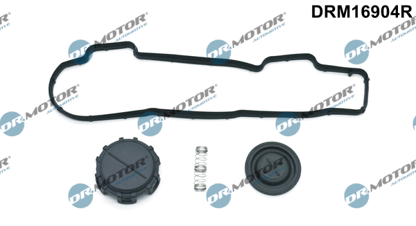 Kit guarnizioni, Copritestata - DRM16904R Dr.Motor Automotive