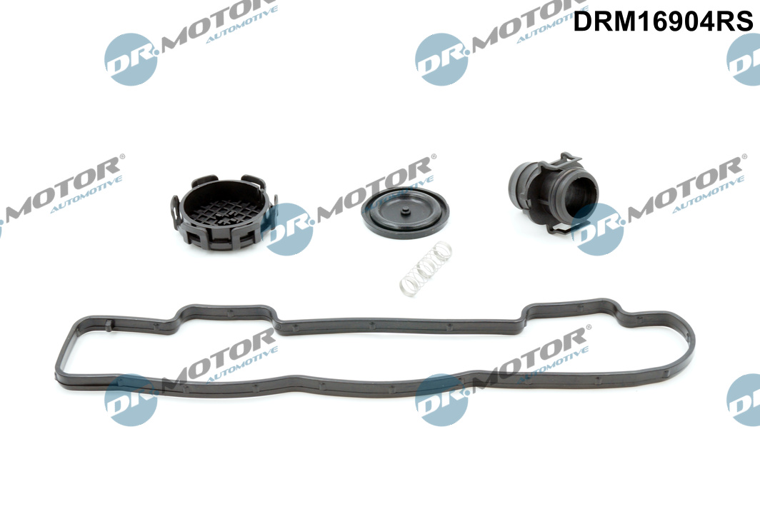 Kit guarnizioni, Copritestata - DRM16904RS Dr.Motor Automotive