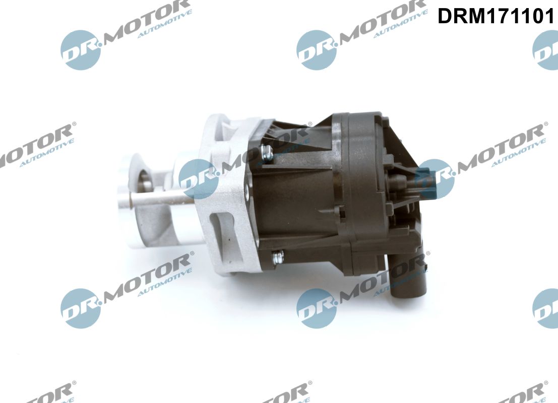 EGR Valve - DRM171101 Dr.Motor Automotive