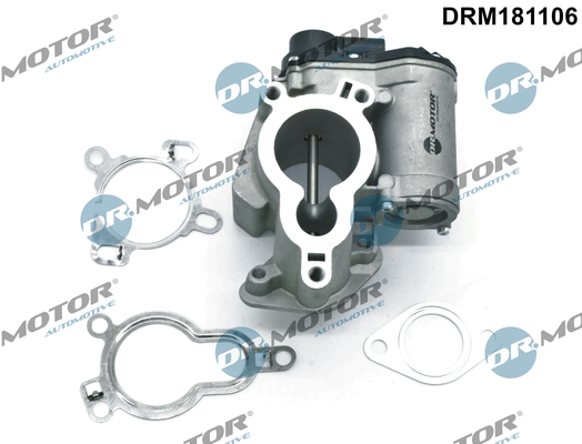 EGR Valve - DRM181106 Dr.Motor Automotive