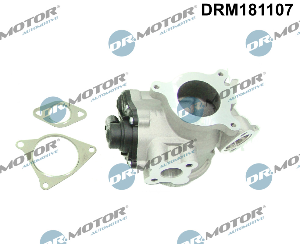 EGR Valve - DRM181107 Dr.Motor Automotive