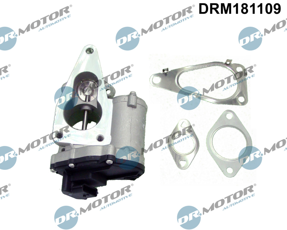 EGR Valve - DRM181109 Dr.Motor Automotive