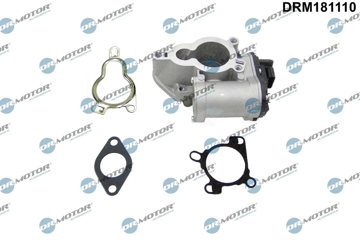 EGR Valve - DRM181110 Dr.Motor Automotive