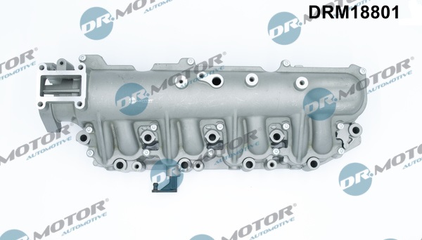 įsiurbimo kolektoriaus modulis - DRM18801 Dr.Motor Automotive