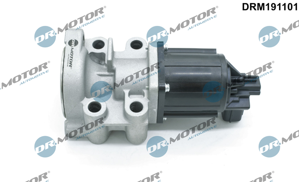EGR Valve - DRM191101 Dr.Motor Automotive