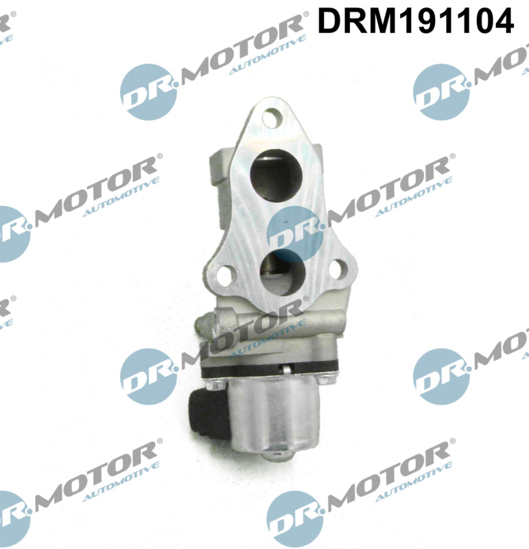 EGR Valve - DRM191104 Dr.Motor Automotive