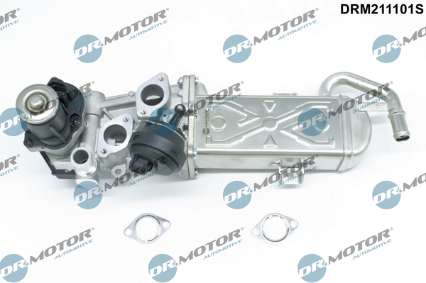 EGR Valve - DRM211101S Dr.Motor Automotive