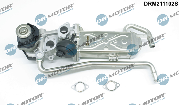 EGR Valve - DRM211102S Dr.Motor Automotive