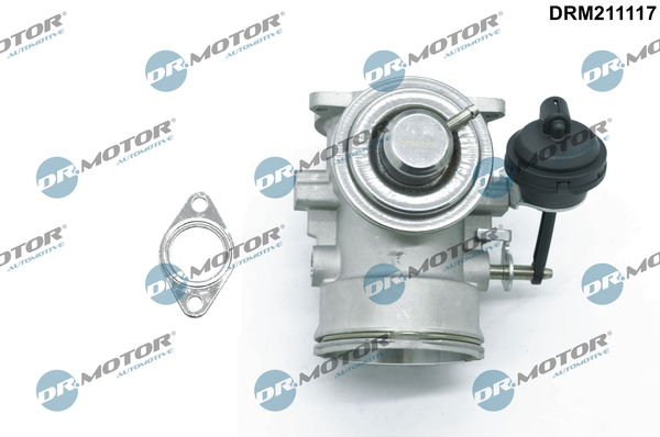 EGR Valve - DRM211117 Dr.Motor Automotive