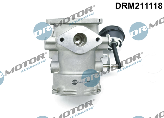 EGR Valve - DRM211118 Dr.Motor Automotive
