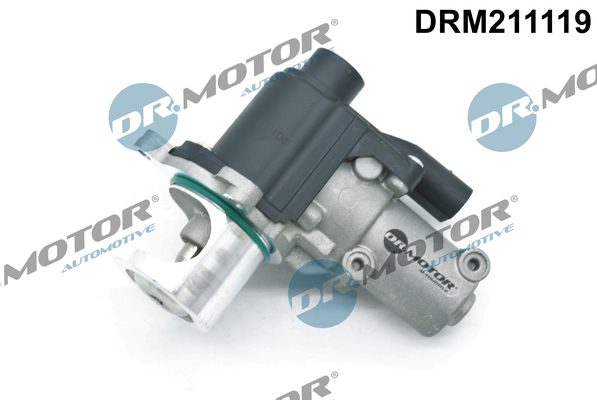 EGR Valve - DRM211119 Dr.Motor Automotive