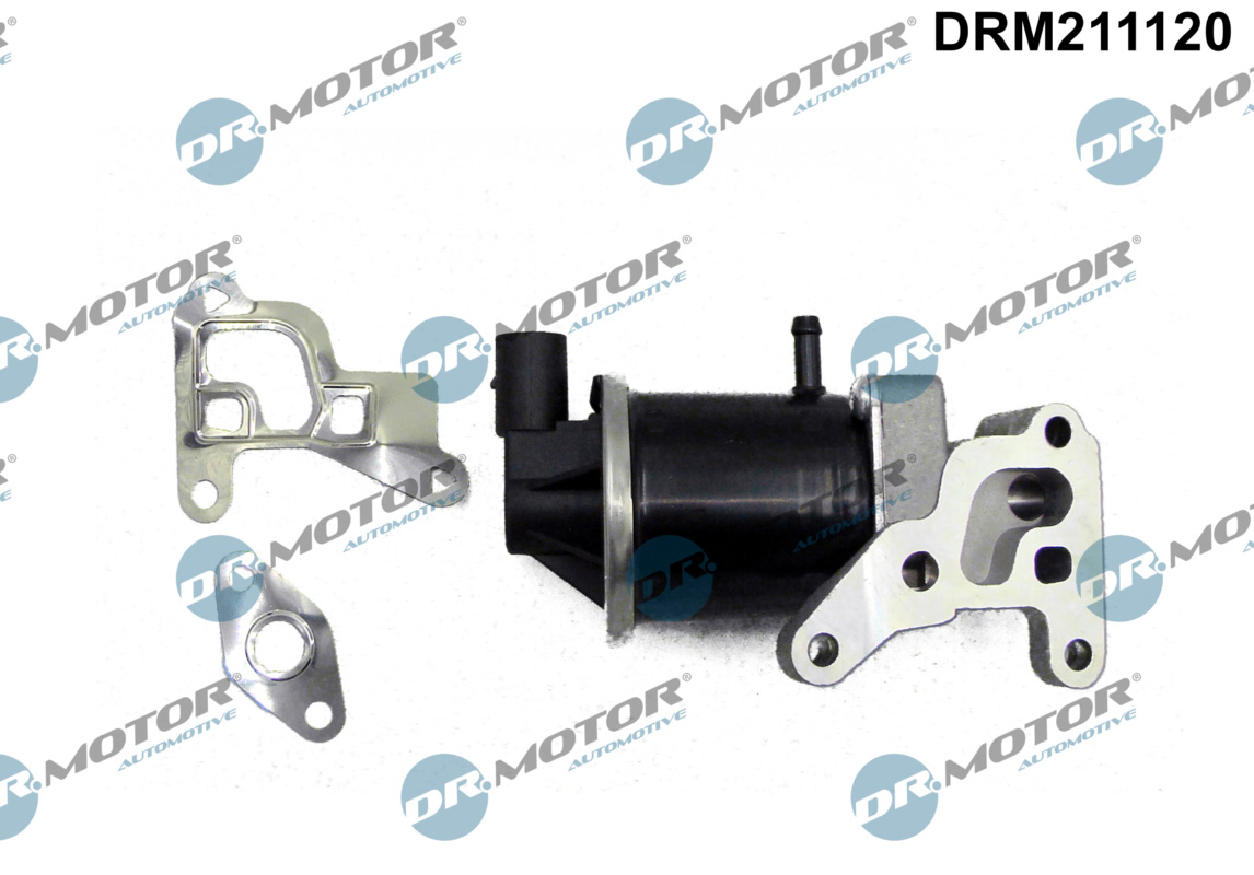 EGR Valve - DRM211120 Dr.Motor Automotive
