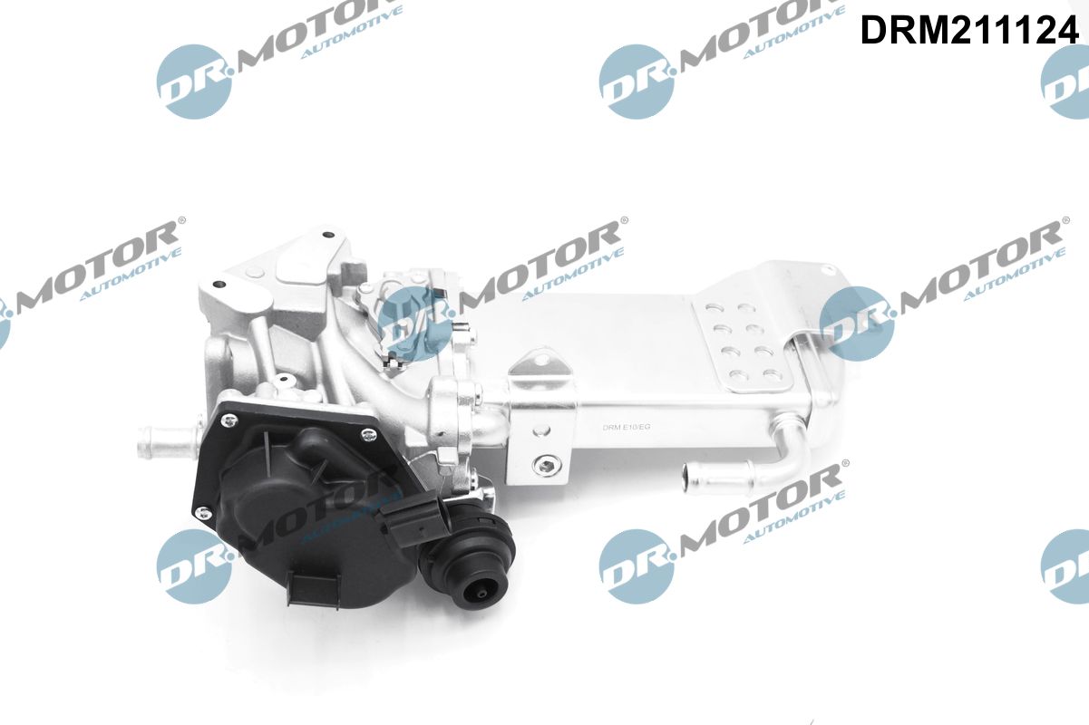 EGR Valve - DRM211124 Dr.Motor Automotive