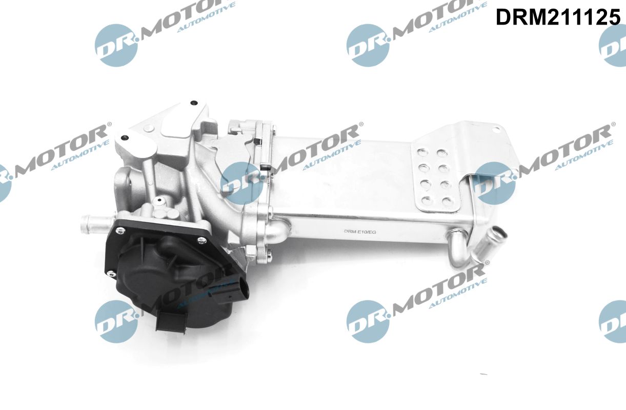 EGR Valve - DRM211125 Dr.Motor Automotive