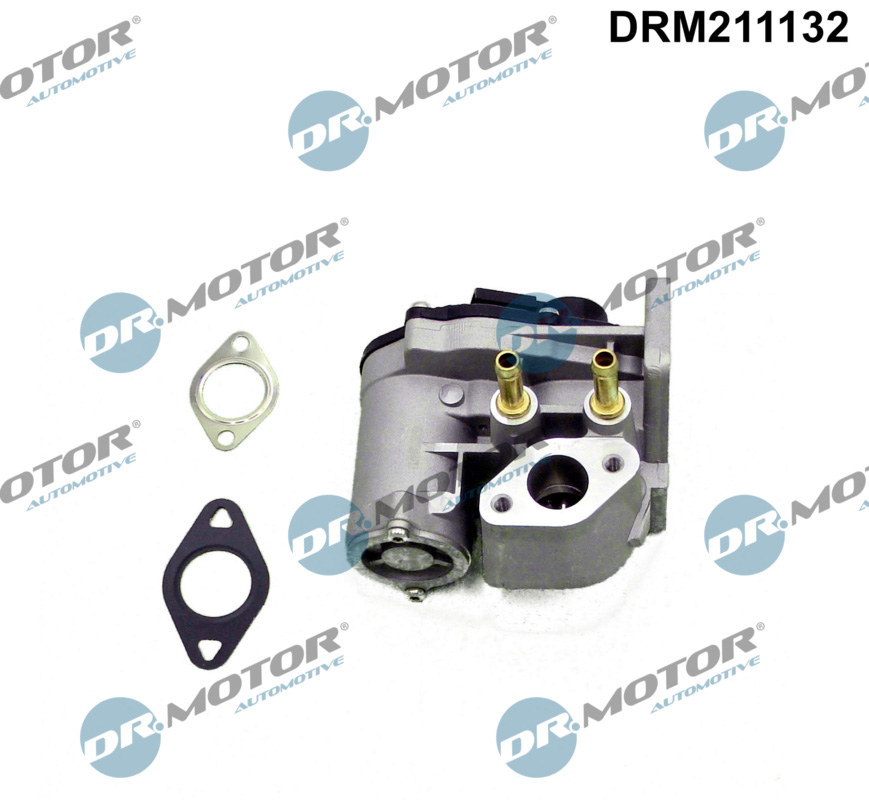 EGR Valve - DRM211132 Dr.Motor Automotive