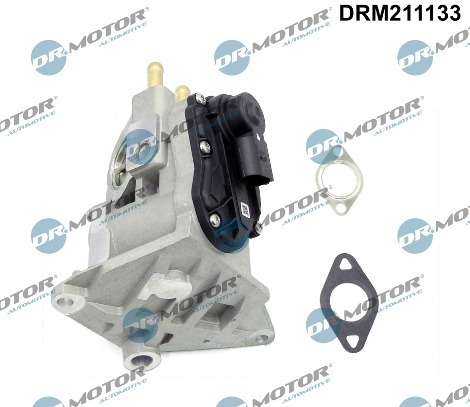 EGR Valve - DRM211133 Dr.Motor Automotive