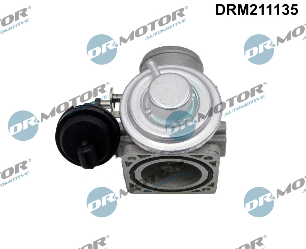EGR Valve - DRM211135 Dr.Motor Automotive