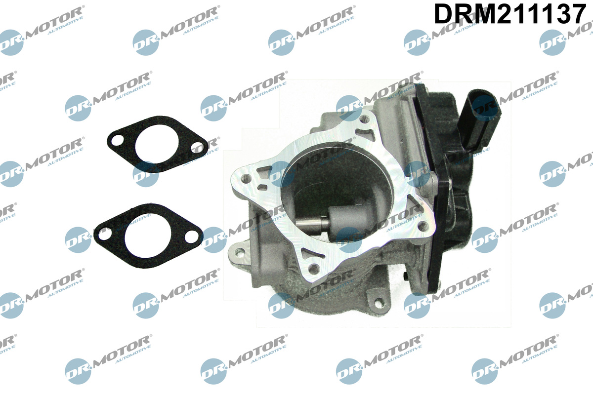 EGR Valve - DRM211137 Dr.Motor Automotive