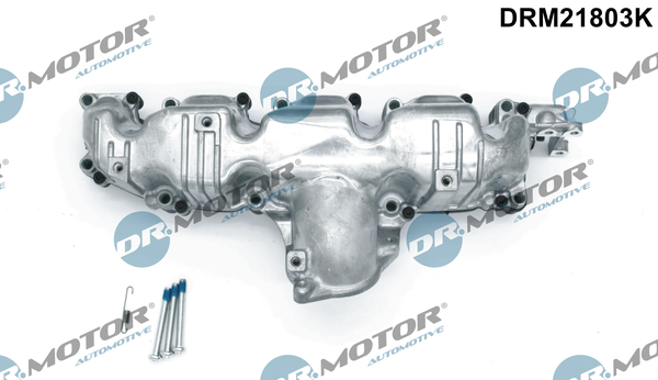 Intake Manifold Module - DRM21803K Dr.Motor Automotive