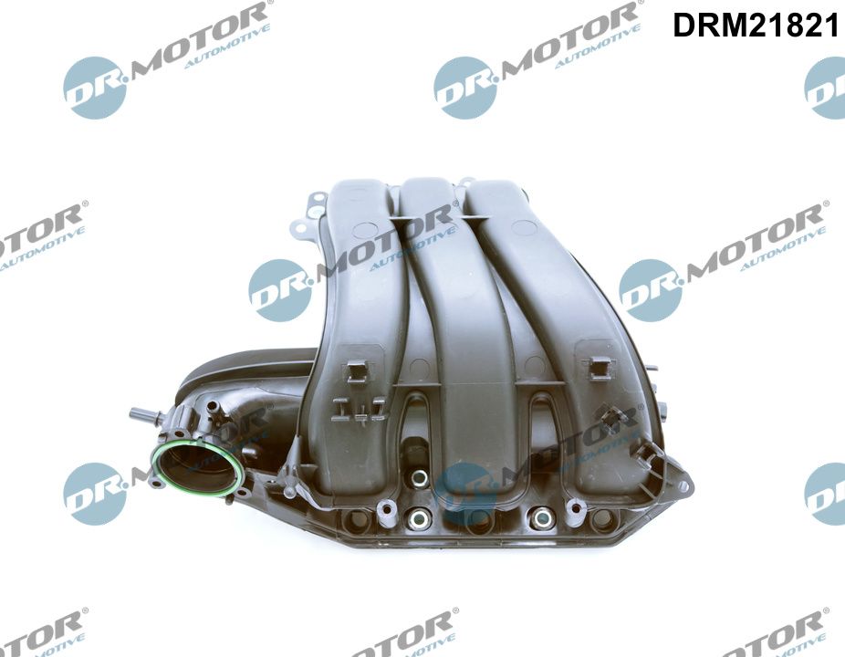 Intake Manifold Module - DRM21821 Dr.Motor Automotive